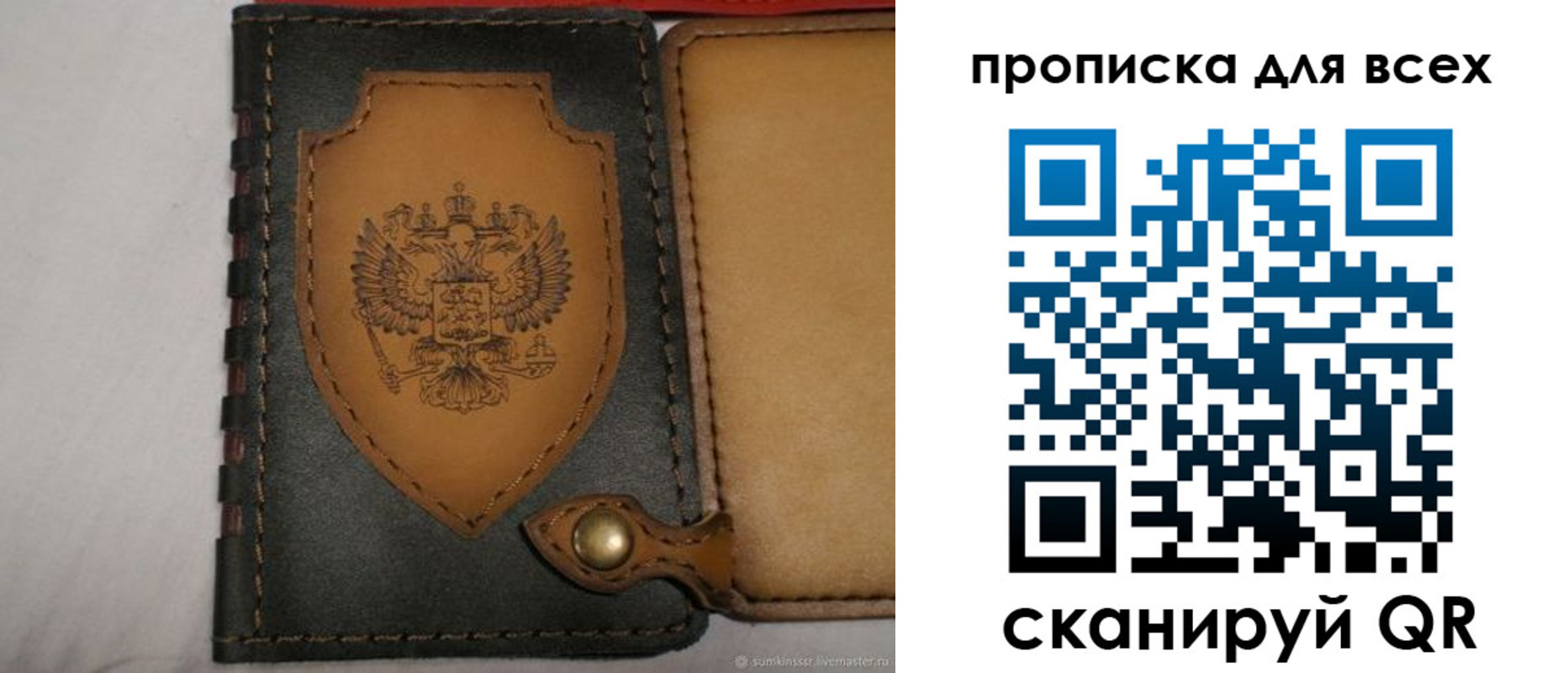 прописка для школы в Коряжме